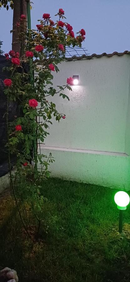 Hotel Casa Ella Tuzla Zewnętrze zdjęcie